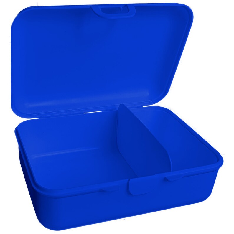 May include: A blue plastic lunch box with a divided interior. The lid is open and the box is empty.