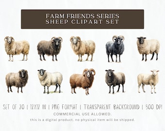 Watercolor Sheep Clipart - 20 PNG Files, 12x12 Inches, 300 DPI, Transparent Background