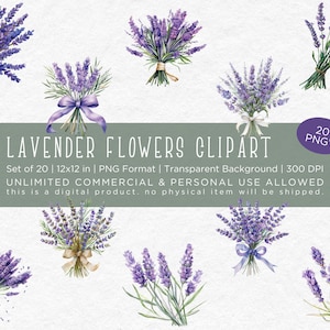 Lavender Flowers Clipart - Watercolor Clipart, 20 PNG Files, Commercial Use, 12x12, Transparent Background, 300 DPI
