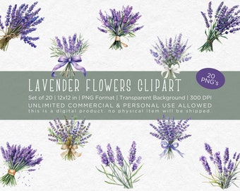 Lavender Flowers Clipart - Watercolor Clipart, 20 PNG Files, Commercial Use, 12x12, Transparent Background, 300 DPI