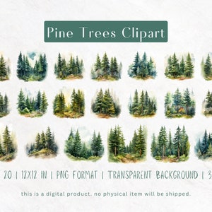 Ensemble de cliparts aquarelle pins - 20 fichiers PNG, 300 DPI - graphismes inspirés de la nature