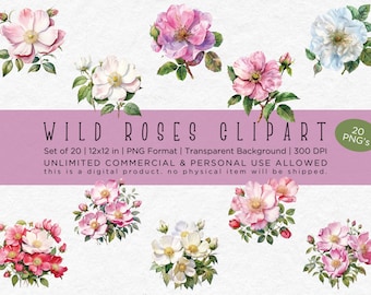 Wild Roses Watercolor Clipart: 20 PNG Files, 12x12 (Digital Download)