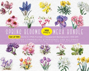 Spring Blooms Watercolor Clipart - Mega Bundle, 100 PNG Files, Commercial Use, 12x12, 300 DPI, Transparent Background