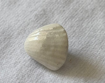 Oiyes Handmade Shell Button