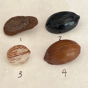 May include: Four different types of seeds, numbered 1 through 4. Seed 1 is brown and irregularly shaped. Seed 2 is black and oval. Seed 3 is white with brown stripes and oval. Seed 4 is brown and oval.