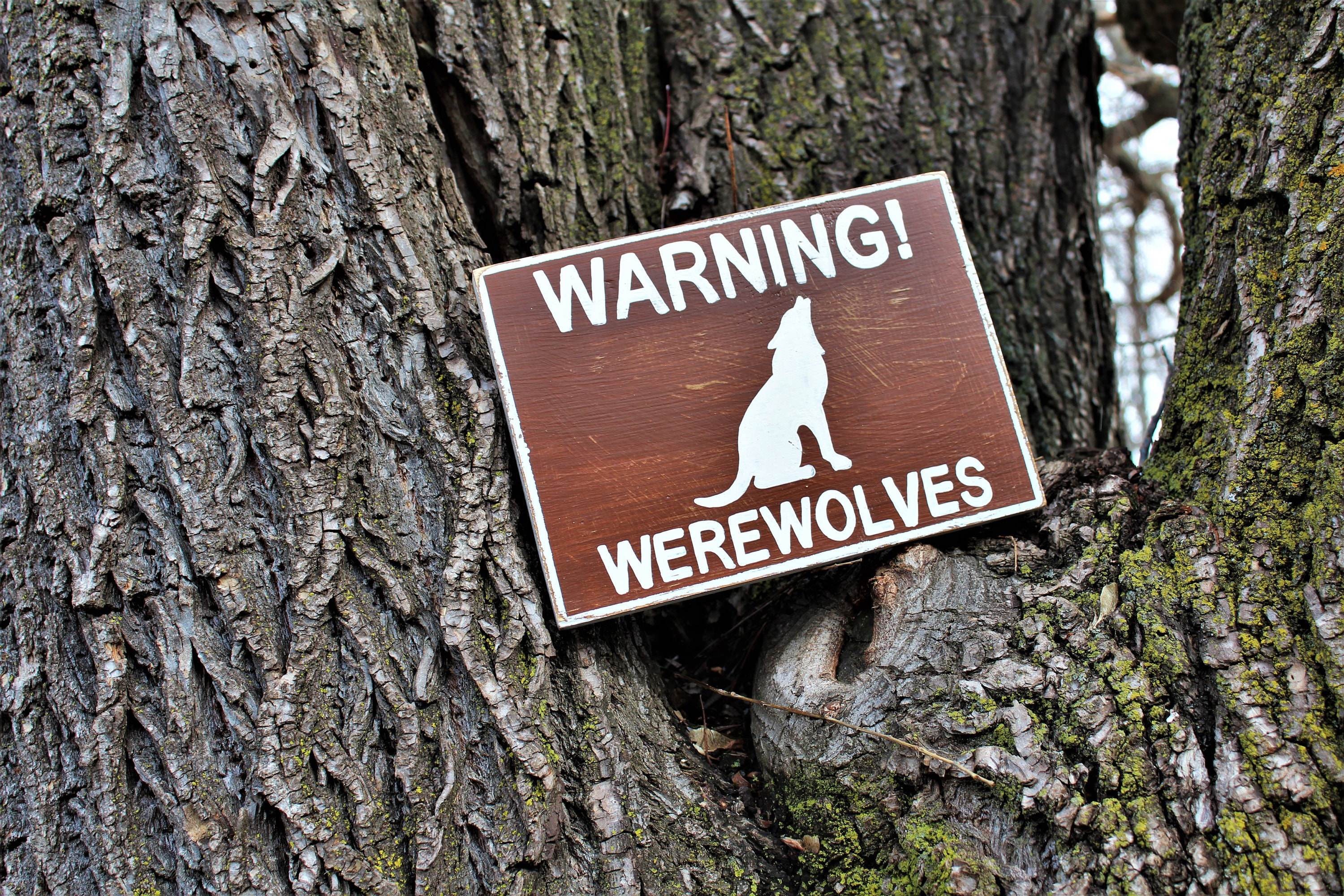 Warning! Werewolves Hand Painted Distressed Wooden Sign - Etsy