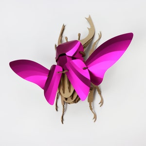 3D Stag Beetle Kit image 7