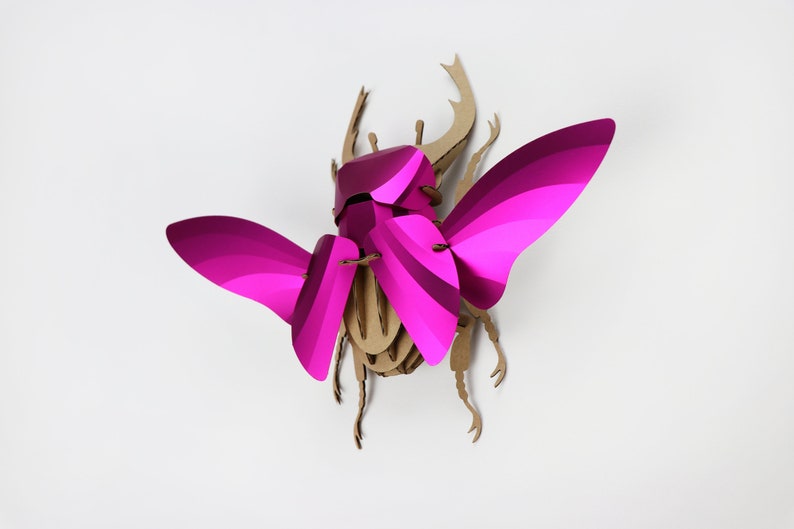 3D Stag Beetle Kit image 7