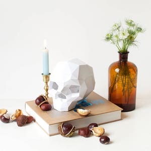 Papercraft Sapiens Kit