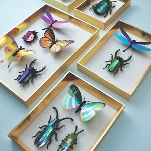 Insectes en papier mélangés - lot de 5