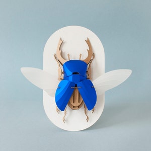 3D Stag Beetle Kit image 5