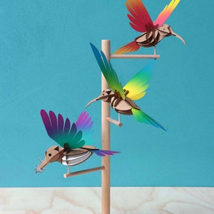 3D Mixed birds puzzle set (3-pack)