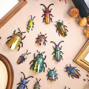 Set di 5 scarabei di carta 3D