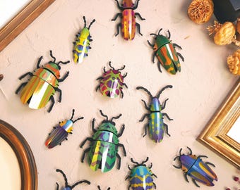 3D Paper Beetle set of 5
