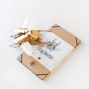 3D Stag Beetle Kit image 10