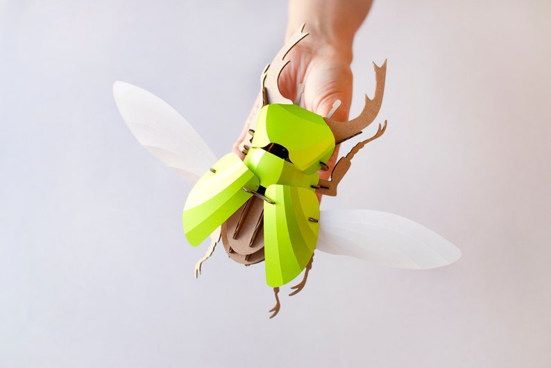 3D Stag Beetle Kit image 9