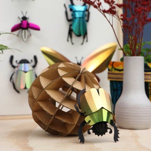 3D Mixed insects puzzle set beetles