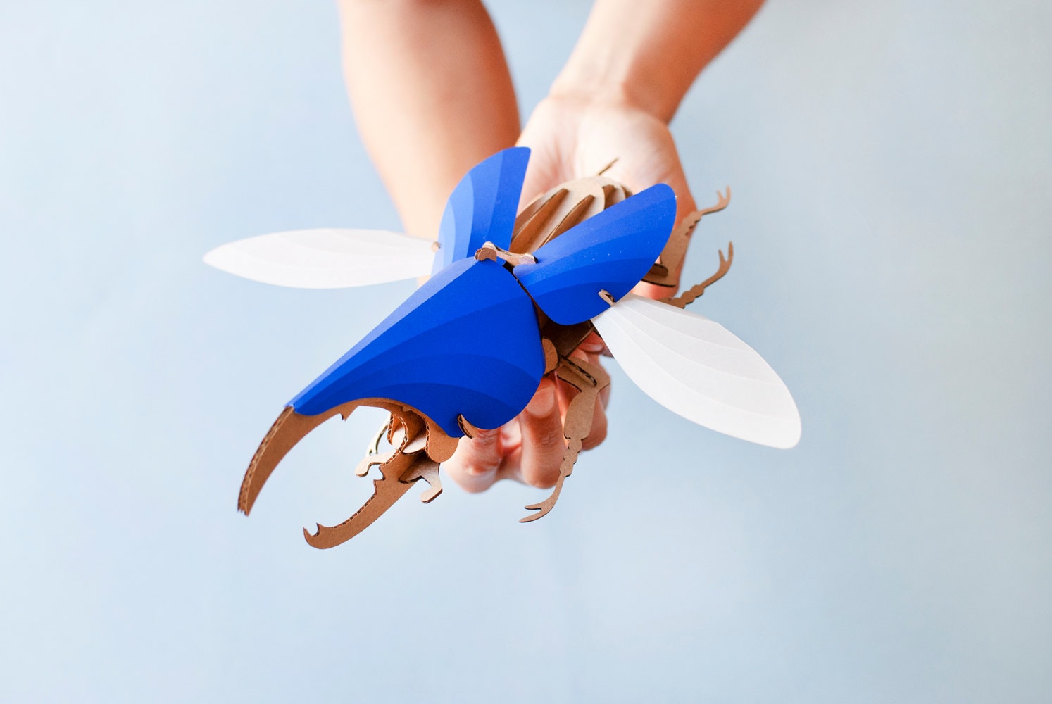 3D ペーパー ヘラクレスオオカブト キット - Etsy 日本