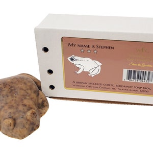 Citrus with a coffee scrub, vegan frog shaped soap