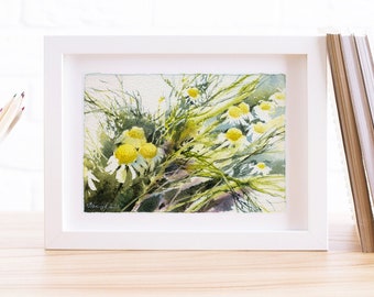 Chamomile on the field - art print or original watercolor, giclee on watercolor paper