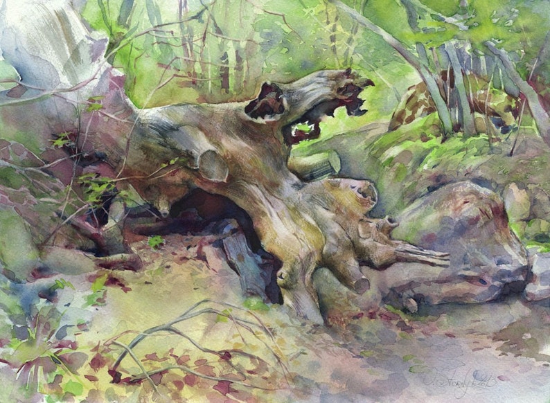 Crooked wood watercolor painting old tree painting fallen ...