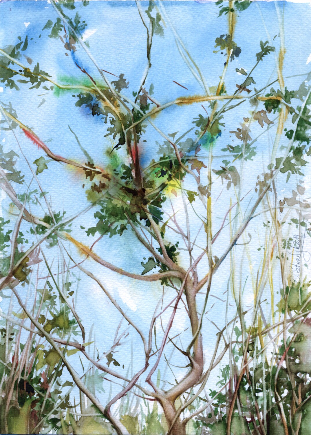 Tree watercolor painting tree branches print painting Etsy