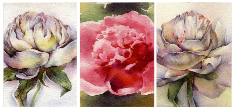 windmill Flower watercolor painting print rose butterfly ACEO print poppy