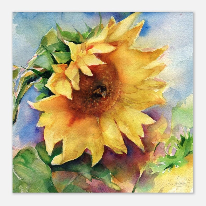Art print of Sunflower Watercolor painting - sunflower Watercolor painting print - Sunflower wall art - Sunflower print 16 x 16