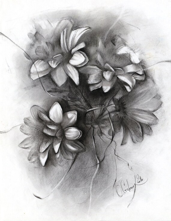 Original Dessin Fleur Dessin Au Fusain Gerbera Papier