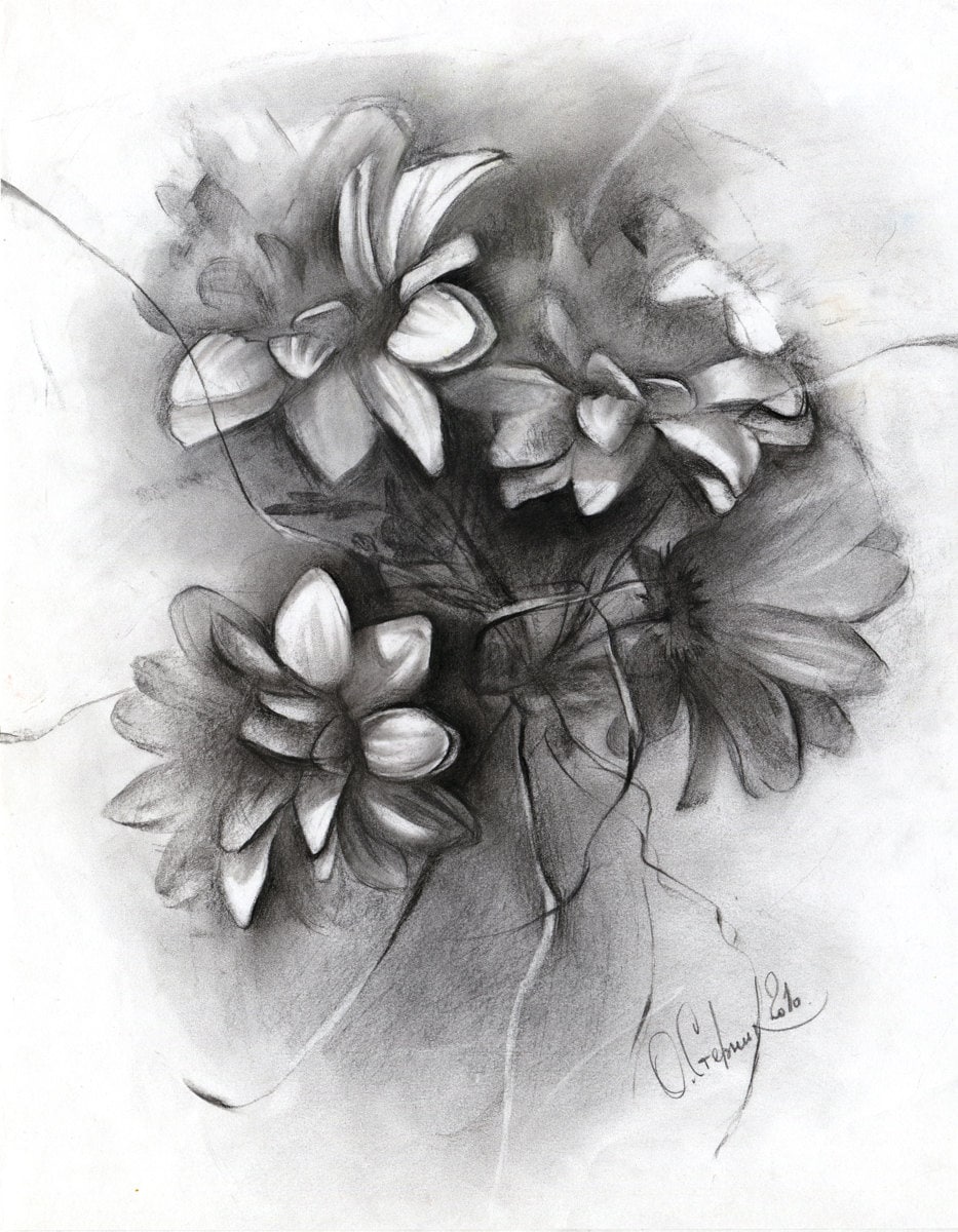 Flower drawing original Gerbera charcoal drawing paper Etsy