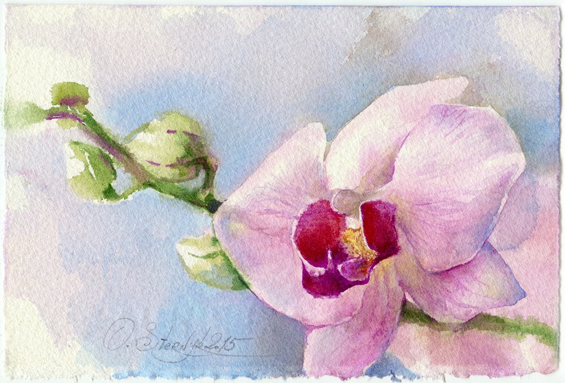 Print of Orchid Watercolor Painting Orchid Flower Art Print Etsy