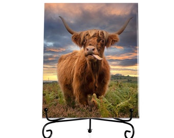 Moderne geschenken, Highland Cow Photography keramische kunsttegel, cadeau woondecoratie, woondecoratie dieren, verjaardag