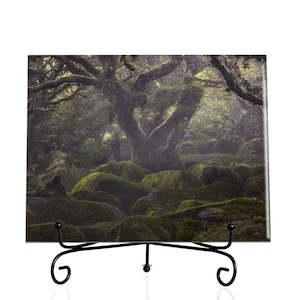 Landscape art print Forest Ceramic tile arts and crafts Limited Edition First Home Gift Modern Home Decor Gift Decorative Dad Family Office