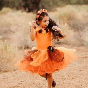Fairy dress girls, halloween costume toddler girl, autumn fairy birthday dress, orange fairy dress kids, fairy costume toddler