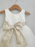 Champagne flower girl dress with bow sash for toddler, girl tutu dress, tulle dress, ivory white flower girl dresses, champagne wedding