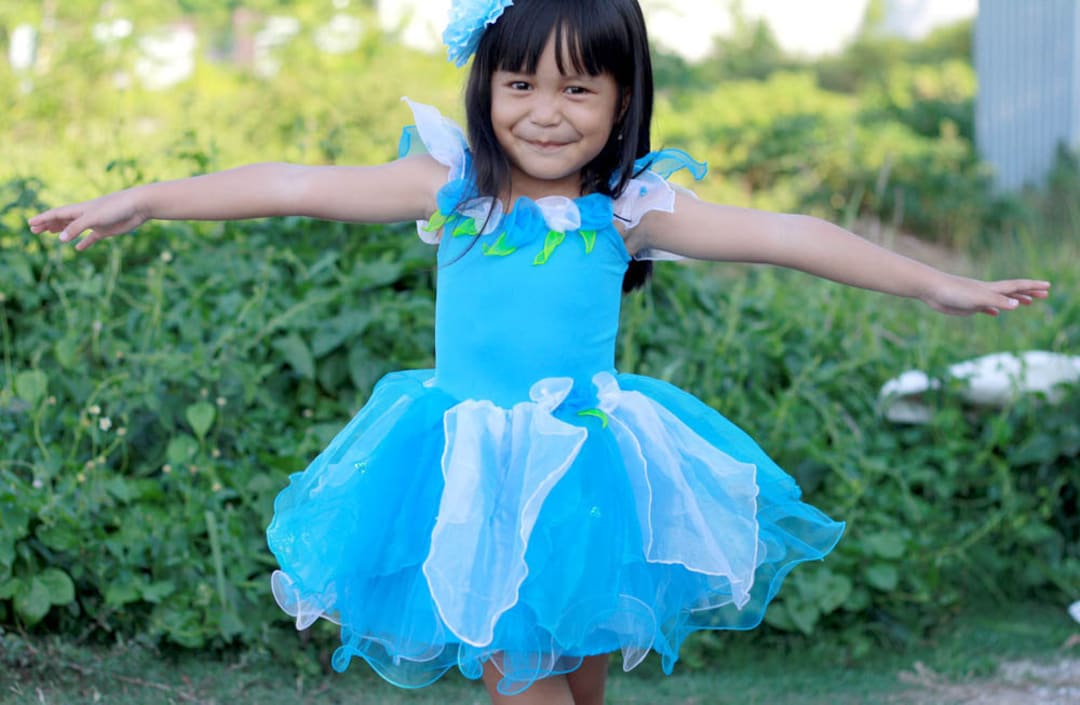 Blue Fairy Dress Blue Flower Fairy Costume Girl's Fairy - Etsy