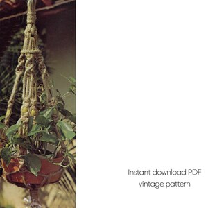 May include: A vintage macrame plant hanger made of natural-colored rope, holding a terracotta pot filled with green leafy plants. The design features intricate knots and a decorative pattern. Text on the right reads "Instant download PDF vintage pattern."