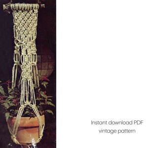 May include: A macrame plant hanger made with white cord, hanging from a wooden dowel. The hanger is holding a terracotta pot with a green plant.