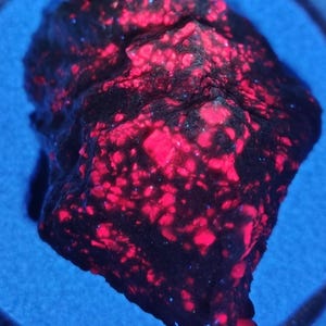 May include: A rough, dark mineral specimen exhibiting intense fluorescent properties under ultraviolet light. The rock features a deep black base color with numerous irregular, bright neon pink and magenta crystalline inclusions scattered across its surface.