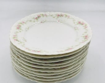 10 PC MZ Austria Habsburg-China Porcelain  Bread or Salad Plate Set  Roses  Excellent Condition
