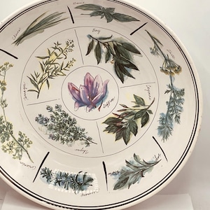 Williams Sonoma パスタボウル 【ヴィンテージ 】 Vintage William Sonoma Pasta Bowl - Etsy