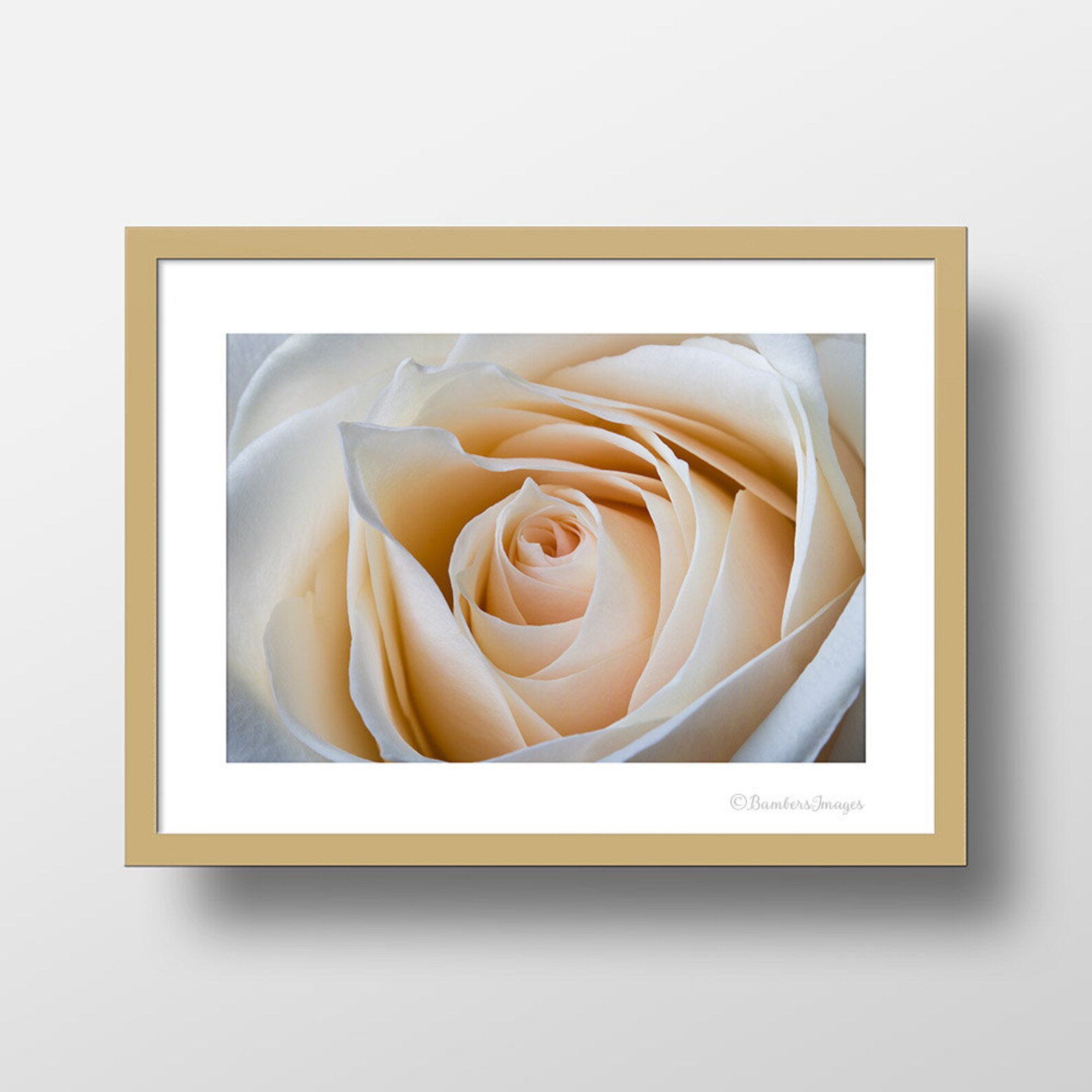 Rose Print Cream Wall Art Rose Art Rose Petals Rose Decor Etsy