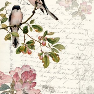 Spring Bird Roycycled Decoupage Paper Unique high-quality papers for crafting, furniture, walls, DIY and other projects