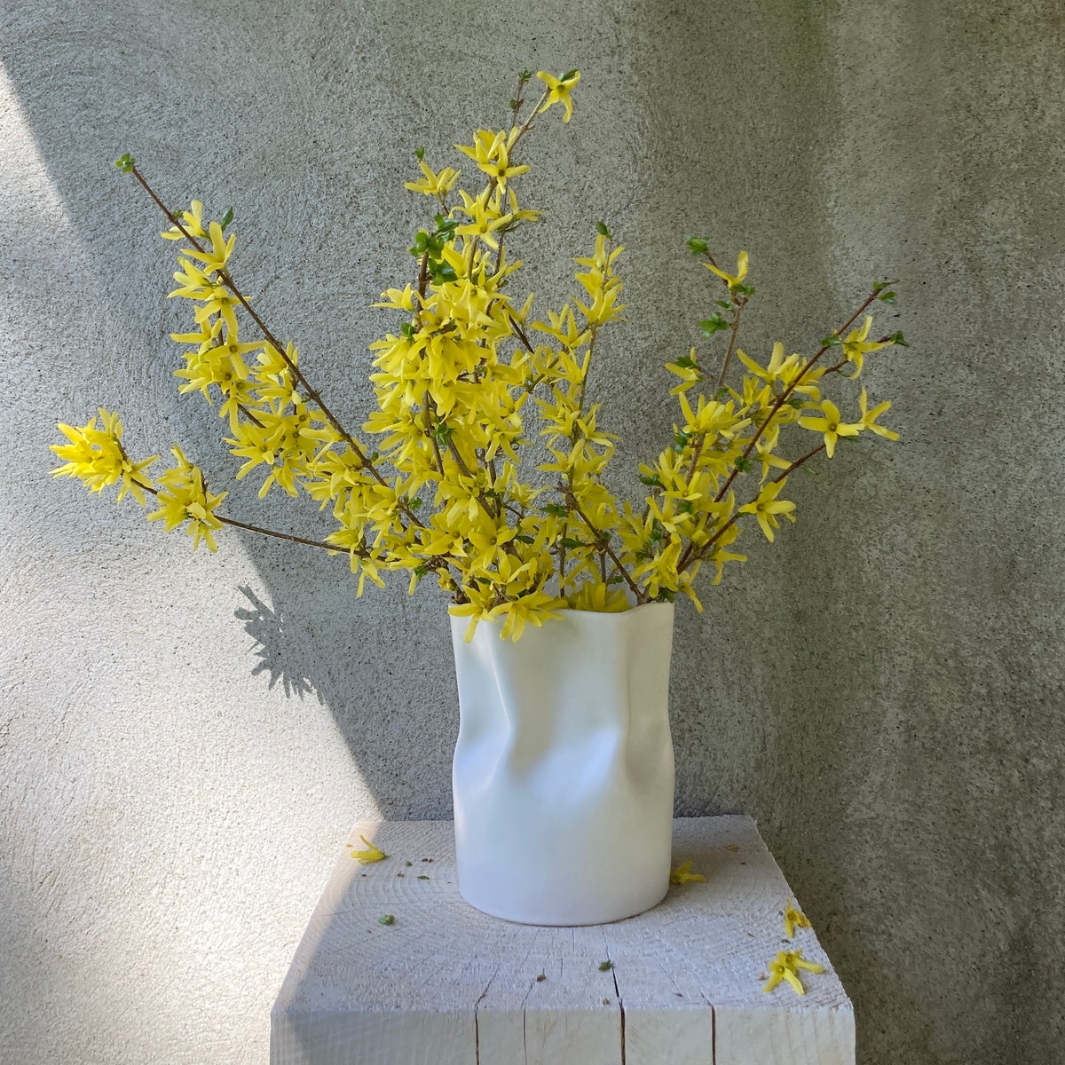 Wide Ceramic Vase / Utensil Holder With Satin Finish - Etsy