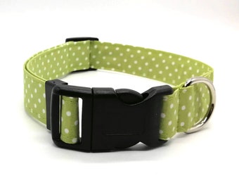 Dog Collars