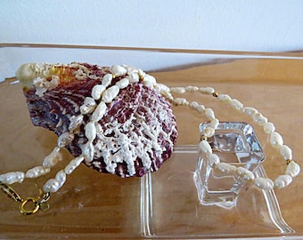 May include: A necklace composed of irregular white freshwater pearls and small gold-toned metal beads, featuring a gold-toned circular clasp. The necklace is draped over a textured, dark purple and white seashell with a rough, calcified surface.