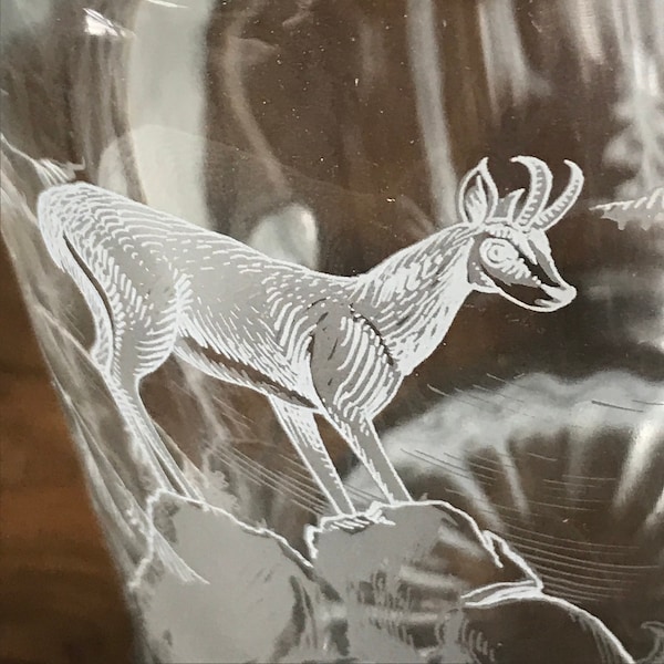 Lidded ETCHED BEER Stein, German Glass Beer Stein, Alpine Chamoix Goat, Gemse, Auerhahn, Alpine Game Bird, Pewter Lid,  Oktoberfest