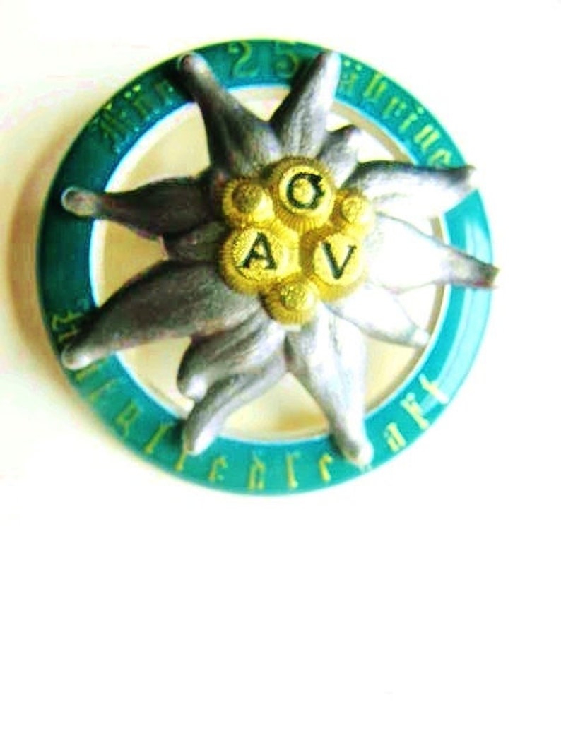 25 yrs EDELWEISS PIN, German Text, Austrian Alpenverein, 25 years Membership, 1 1/4 diameter, Alpine Clu image 1