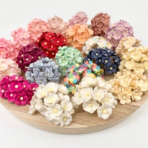 20 x Fiori di carta di gelso a grandezza naturale - Oltre 20 colori