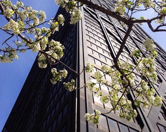 Impresión fotográfica de Chicago Edificio John Hancock Monumento de Chicago Fotografía de bellas artes en primavera